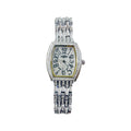 Iced Out CZ Stainless Steel Automatic Watch - Silver